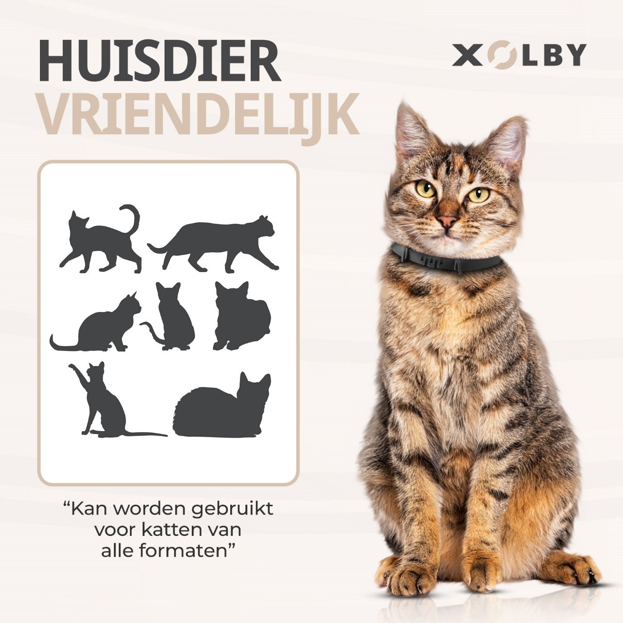 Xolby® Vlooienband Kat
