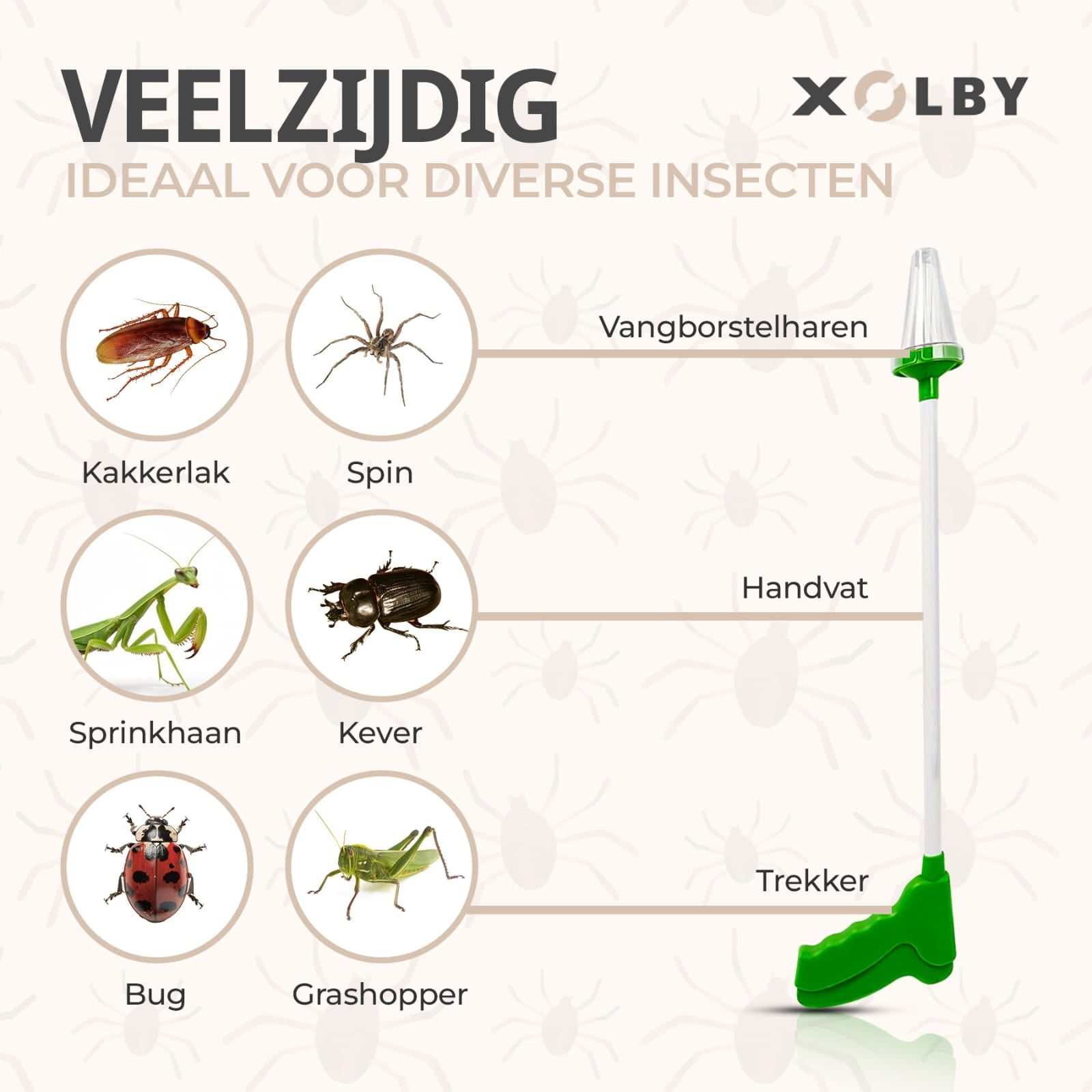 Xolby® Spinnenvanger