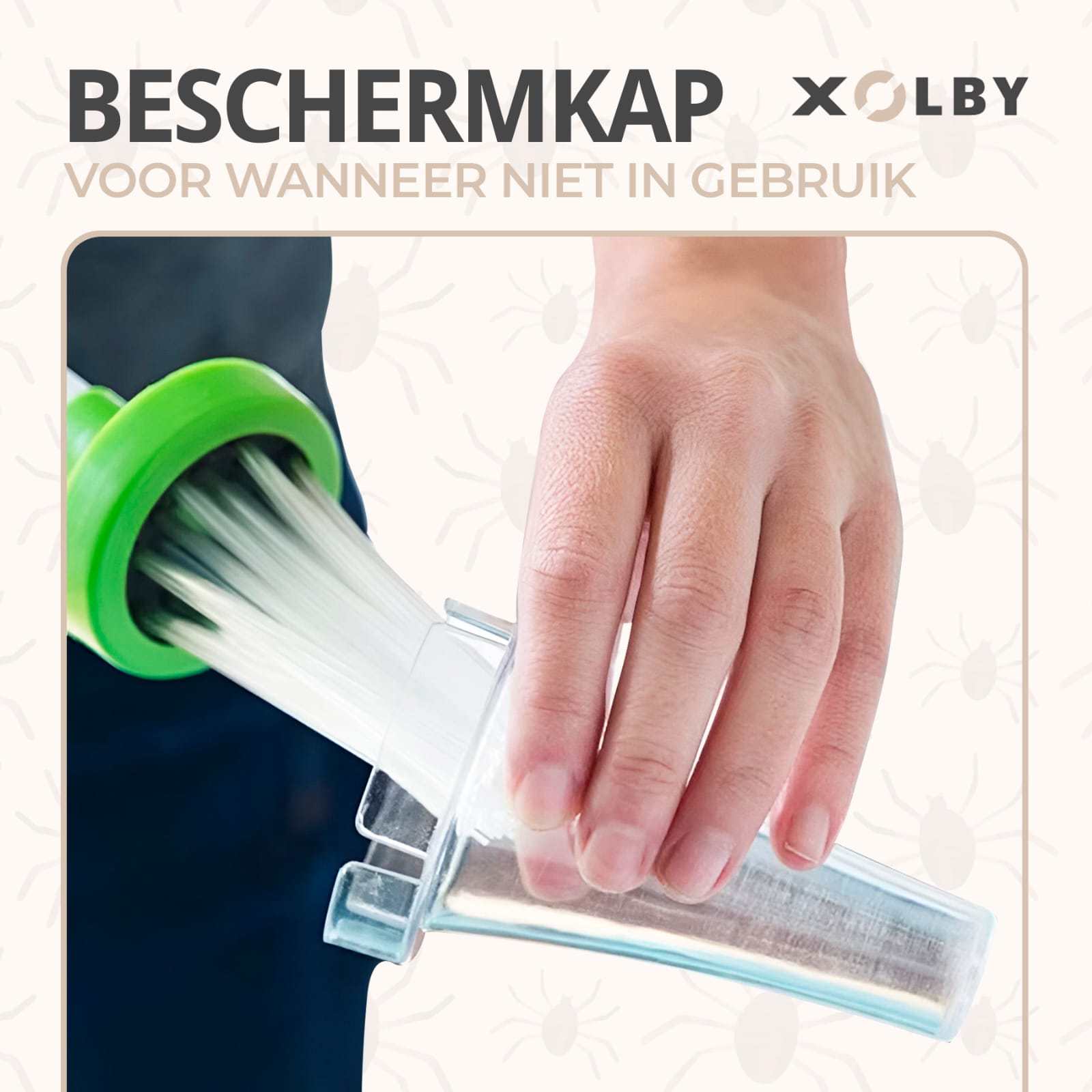 Xolby® Spinnenvanger